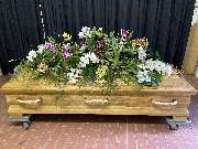 Hubein Diana - GALLERY