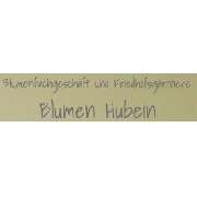 Hubein Diana - LOGO