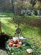 Hubert Erdt der blumenbauer - GALLERY