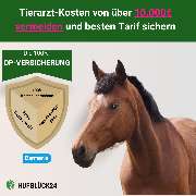 Hufglück24 - Barmenia Versicherungen Christian Meyer - GALLERY
