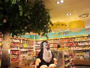 Hugendubel - GALLERY