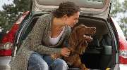 HUK-COBURG Versicherung Daniela Schütte in Velbert - Mitte - Tierhalterhaftpflicht 
Ihr Hund rennt auf die Straße und verursacht einen Verkehrsunfall. In diesem Fall haften Sie für den Schaden. Unsere günstige Tierhalterhaftpflichtversicherung.
