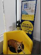 HUK-COBURG Versicherung Ebru Canel in Mainz - Hartenberg/Münchfeld - GALLERY