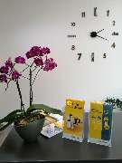 HUK-COBURG Versicherung Ebru Canel in Mainz - Hartenberg/Münchfeld - GALLERY