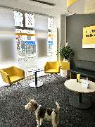 HUK-COBURG Versicherung Lenya Ziegler in Wuppertal - Vohwinkel - GALLERY