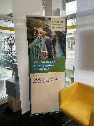 HUK-COBURG Versicherung Lenya Ziegler in Wuppertal - Vohwinkel - GALLERY