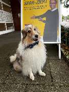 HUK-COBURG Versicherung Stephanie Schröder in Hamburg - Farmsen-Berne - GALLERY