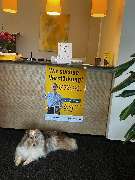 HUK-COBURG Versicherung Stephanie Schröder in Hamburg - Farmsen-Berne - GALLERY