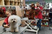 Hund & Katz Schnaittach - GALLERY