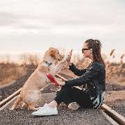 Hundeberatung für Familienhunde - Kluge Hunde - Training, Vertrauen und echte Verbindung: Mensch und Hund im harmonischen Miteinander. Der perfekte Moment im Alltagstraining.