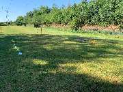 Hundeberatung für Familienhunde - Kluge Hunde - Unser weitläufiges Trainingsgelände im Grünen ist ideal für abwechslungsreiche Übungen mit Hütchen, Stangen und Parcours-Elementen. Hier trainieren Hunde konzentriert und mit Freude unter freiem Himmel.