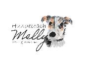 Hundecoach Melly- Mobil & Individuell - 1