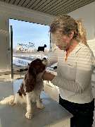 Hundefriseur Schlappohr München Schwabing - GALLERY