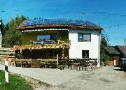 Hundepension glückliche Pfoten