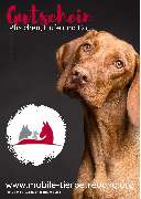 Hundepension Hundekindergarten Mobile Tierbetreuung Pfötchen Hufe und Co. Inh. Katrin Heidel - GALLERY