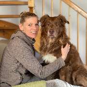 Hundephysio Fitplus - GALLERY