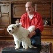 Hundephysiotherapie (Krankengymnastik)