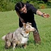 Mobile Hundeschule
