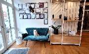 Hundesalon Fellosophie - die Wellnessoase für Ihren Hund in Balingen und Zollernalbkreis - GALLERY