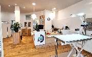 Hundesalon Fellosophie - die Wellnessoase für Ihren Hund in Balingen und Zollernalbkreis - GALLERY