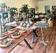 Hundesalon & Katzensalon - immerdar - für alle Felle - GALLERY