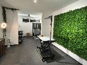 Hundesalon & Katzensalon - immerdar - für alle Felle - GALLERY