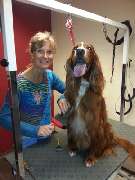 Hundesalon Könnecke - 3