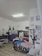 Hundesalon Maja&Dogs - GALLERY