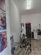 Hundesalon Maja&Dogs - GALLERY