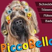 Hundesalon PiccoBello