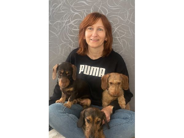 Hundesalon2go - GALLERY