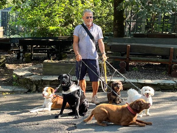 Hundeschule Elmi - GALLERY