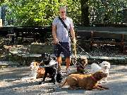 Hundeschule Elmi - GALLERY
