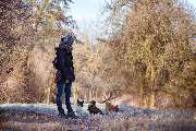 Hundeschule Gotha - 1