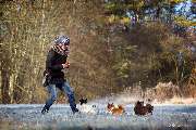 Hundeschule Gotha - 2