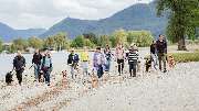 Hundeschule Hundeleicht - GALLERY