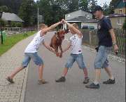Hundeschule HundZunft - GALLERY