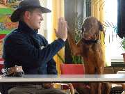 Hundeschule HundZunft - GALLERY