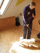 Hundeschule HundZunft - GALLERY