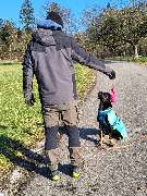Hundeschule Martin Rütter Göppingen-Heidenheim - Hundeschule Martin Rütter Göppingen-Heidenheim Hundetrainer mit Hund beim Apportiertraining im Park. Hund sitzt konzentriert und wartet auf Signal, Apportiergegenstand bereit. Ideal für Bindungsarbeit und G