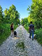 Hundeschule Martin Rütter Göppingen-Heidenheim - Hundeschule Martin Rütter Göppingen-Heidenheim Menschengruppe mit Hunden beim Gruppenspaziergang auf einem breiten Naturweg. Szene für Social Walk, Hundebegegnungen und kontrollierte Gruppenerfahrungen.