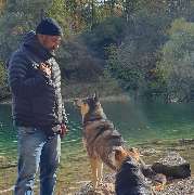 Hundeschule München-Nord - Hundeschule München-Nord