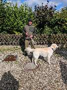 Hundeschule München-Nord - Hundeschule München-Nord