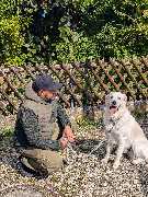 Hundeschule München-Nord - Hundeschule München-Nord