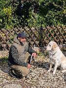 Hundeschule München-Nord - Hundeschule München-Nord