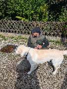Hundeschule München-Nord - Hundeschule München-Nord
