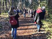 Hundeschule RolfsRudel  Rolf Matar - GALLERY