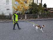 Hundeschule Schnüffel-Alarm - GALLERY