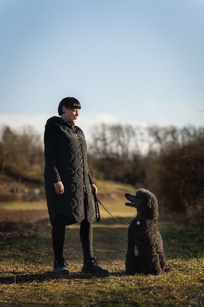 Hundeschule Tanja Kaiser - GALLERY