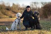 Hundeschule Tanja Kaiser - GALLERY